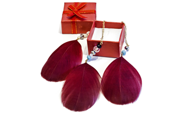 Feather Earrings