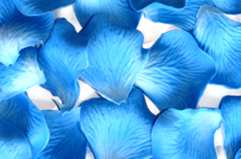Floral Petals