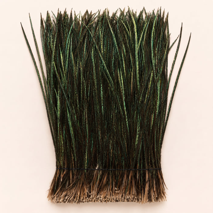 Peacock Herl (Flue) Strung- 1/4 Oz. Pack