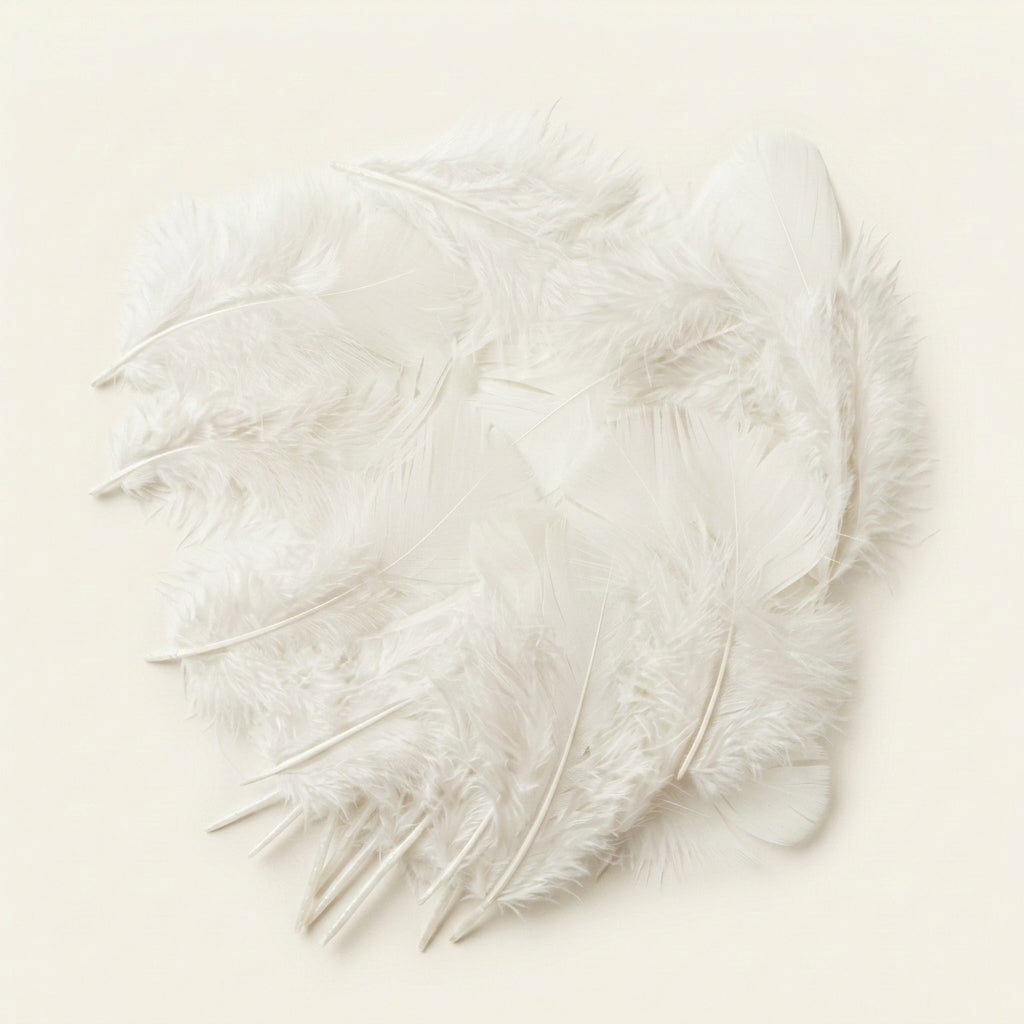 Turkey Plumage 3"/5" Dyed Selected