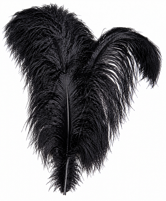Ostrich Wing Dyed 13"/17"