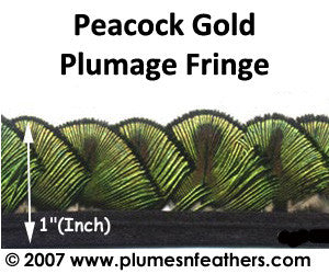 Peacock Gold Plumage Fringe