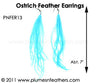 Feather Earrings PNFER13