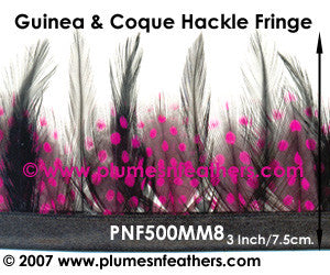 Guinea & Coque Hackle Fringe MM8