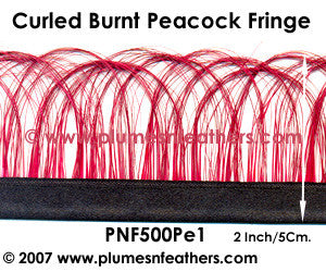 Burnt Peacock Feather Fringe