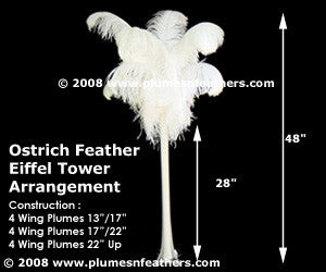 Ostrich Feather 12 Pc. Arrangement