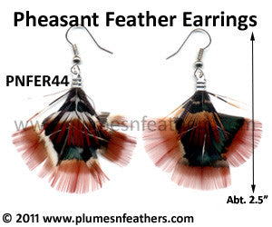 Feather Earrings PNFER44