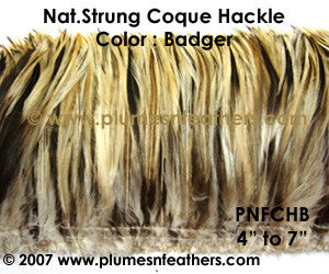 Natural Strung Badger Hackle Feathers +4" ½ Oz.