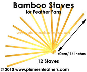 12 Bamboo Staves 16"