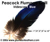 Peacock Blue Iridescent Quills 2"/3"
