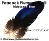 Peacock Blue Iridescent Quills 1"/2"