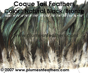 Nat. Bronze Tails 12"/14"