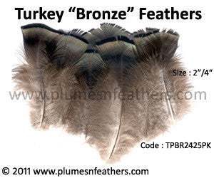 Turkey Bronze Plumage 2"/4" 25 Pcs.