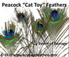 Cat Toy Peacock Feathers 30"/40"