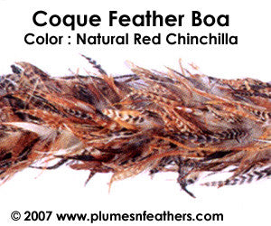 Coque Boa red Chinchilla 100G