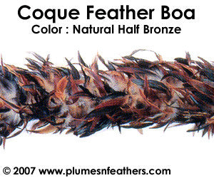 Coque Boa Half Bronze