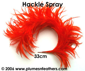 Stripped Hackle Spray 6"