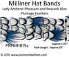 Hat Band '19a'