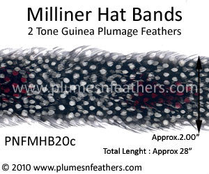 Hat Band '20c'