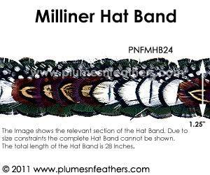 Hat Band '24'