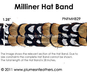 Hat Band '29'
