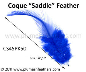 Bleached White Or Dyed Loose Saddle Feathers +4" 50Pcs.