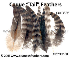 Grey Chinchilla Loose Coque Tail Feathers 5”/7" 25Pcs.