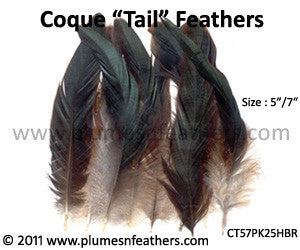 Half Bronze Loose Coque Tail Feathers 5”/7" 25Pcs.