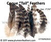 Grey Chinchilla Loose Coque Tail Feathers 7”/10" 25Pcs.