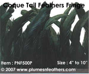 Coque Tail Fringe 6" Iri.Black
