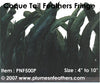 Coque Tail Fringe 7" Iri.Black