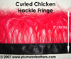 Coque Hackle Curled Fringe