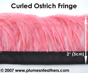 Curled Ostrich Fringe