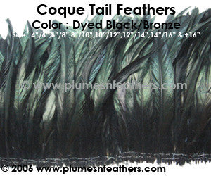Dyed Black Strung Coque Tails 10"/12" ½ Oz. Pack