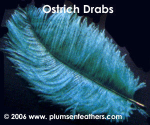 Dyed Ostrich Drab Feather 10"/13"