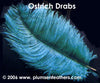 Dyed Ostrich Drab Feather 6"/8"
