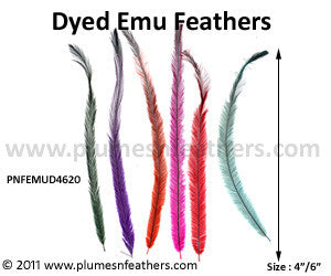 Marabou Feathers - Bulk Pack (300 pcs.)