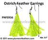 Feather Earrings PNFER56