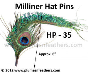 Hat Pin HP '35'