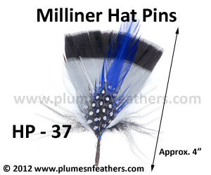 Hat Pin HP '37'
