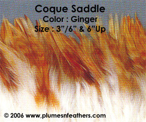 Natural Strung Ginger Saddle Feathers +4" ½ Oz.