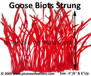 Goose Biots Strung 6”/8” ½ Oz