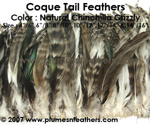 Grey Chinchilla Strung Coque Tails 14"/16" ½ Oz. Pack