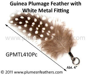 Guinea Plumage with Fitting 10Pc/Pack.