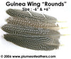 Guinea Quill Rounds 6"/8"