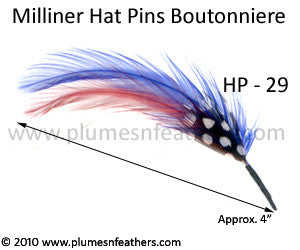 Hat Pin HP '29'