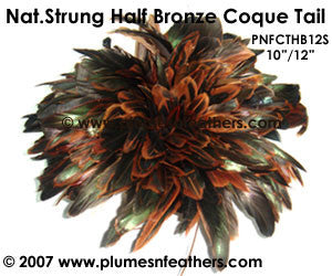 Half Bronze Strung Coque Tails 10"/12" ½ Oz. Pack