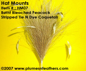Hat Mount HM '7'