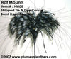 Hat Mount HM '8'