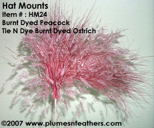 Hat Mount HM '24'